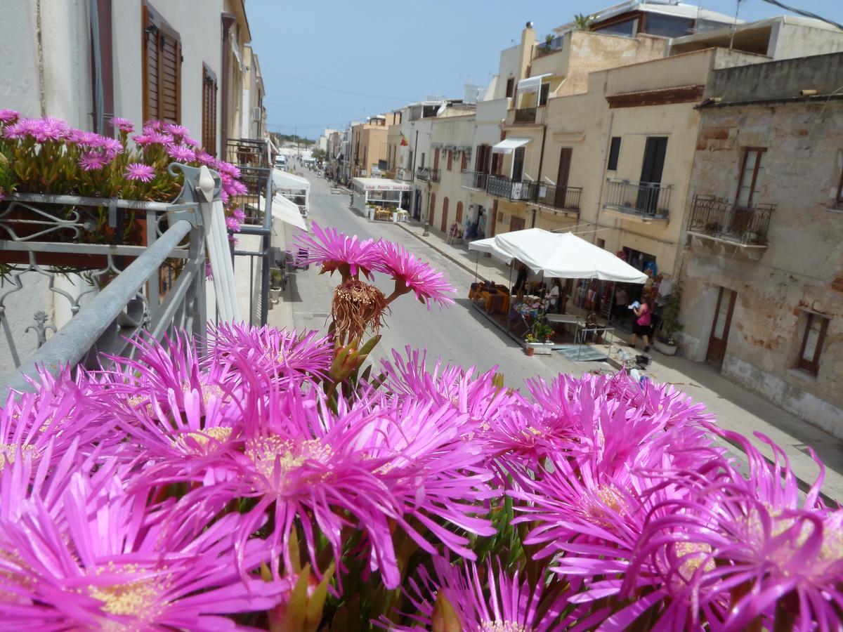Apartment Homenza